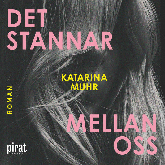 Det stannar mellan oss – Ljudbok