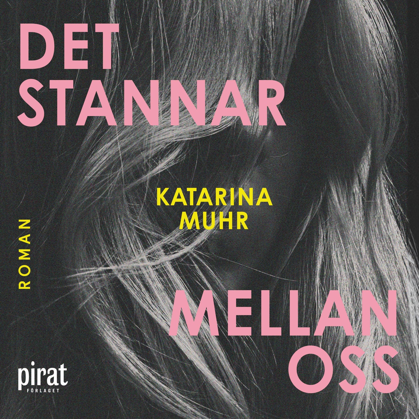 Det stannar mellan oss – Ljudbok