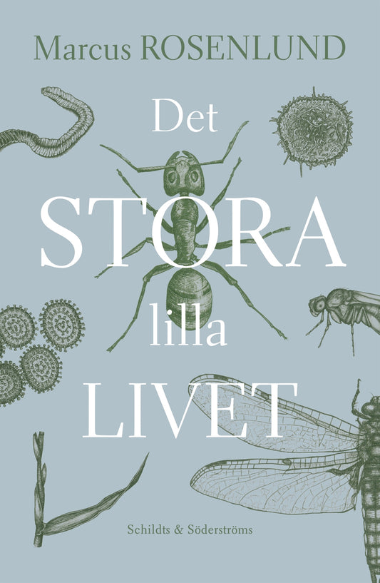 Det stora lilla livet – E-bok