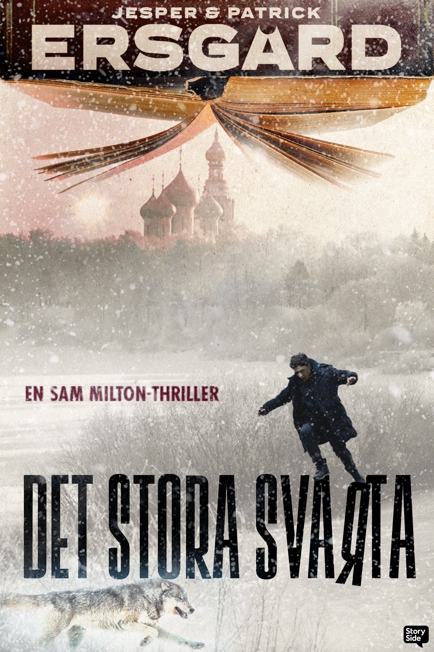Det stora svarta – E-bok