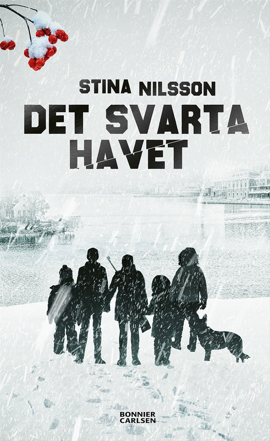 Det svarta havet – E-bok