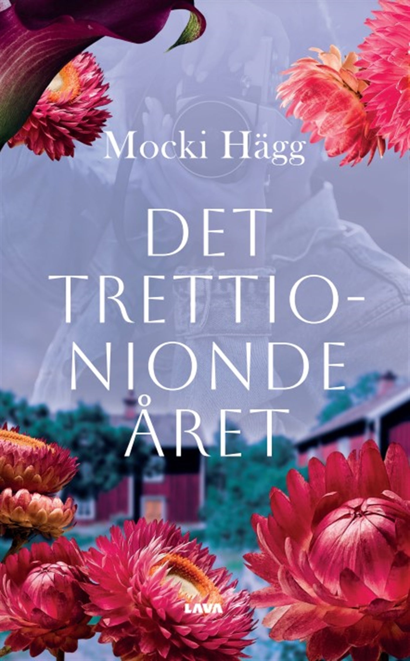 Det trettionionde året – E-bok