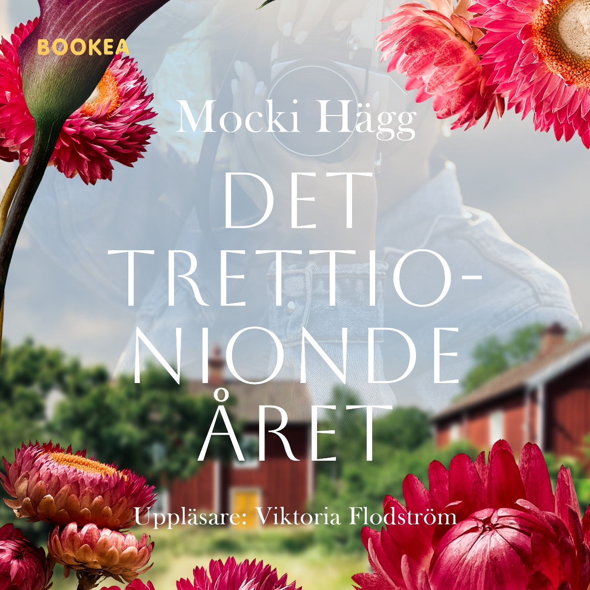 Det trettionionde året – Ljudbok