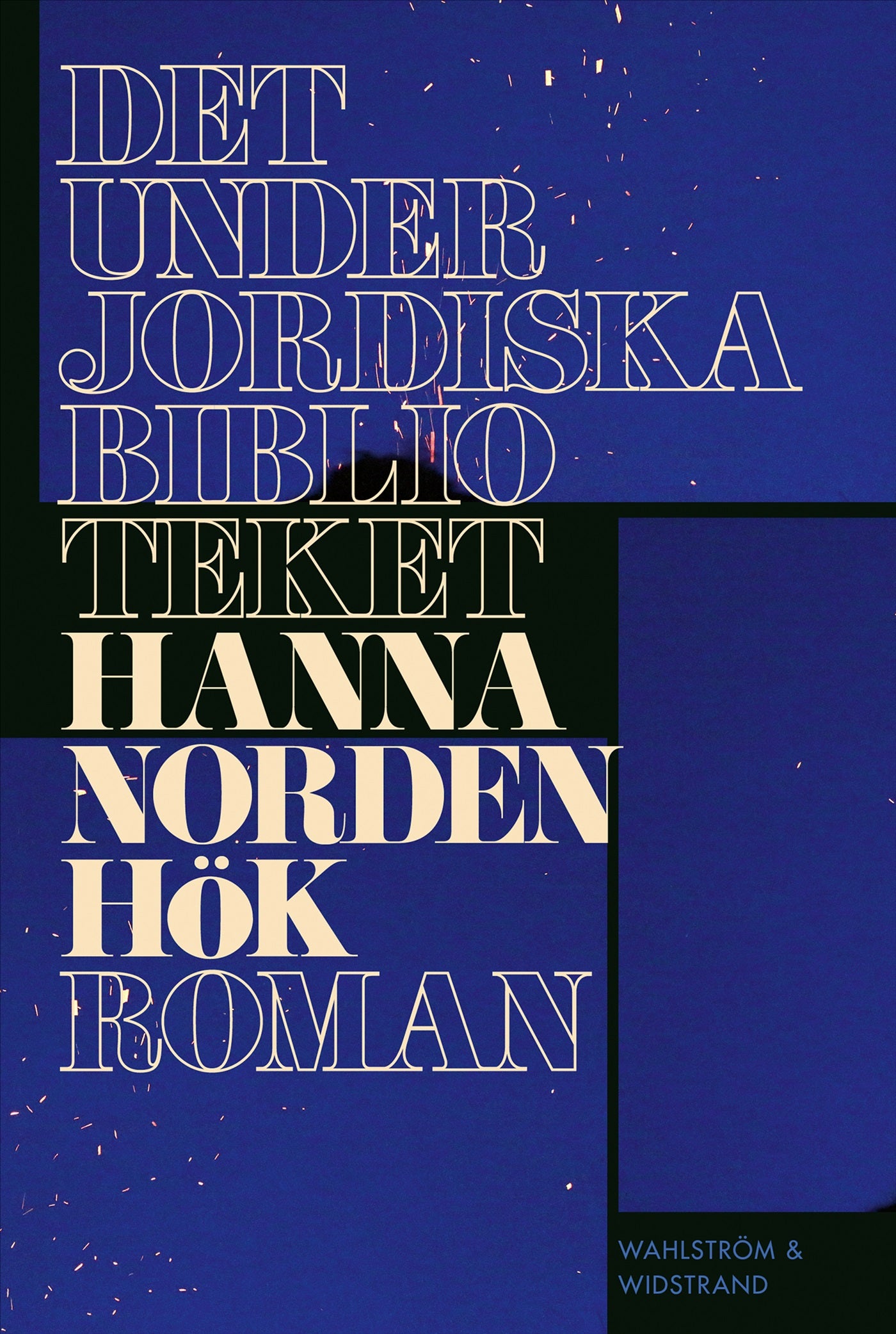 Det underjordiska biblioteket – E-bok