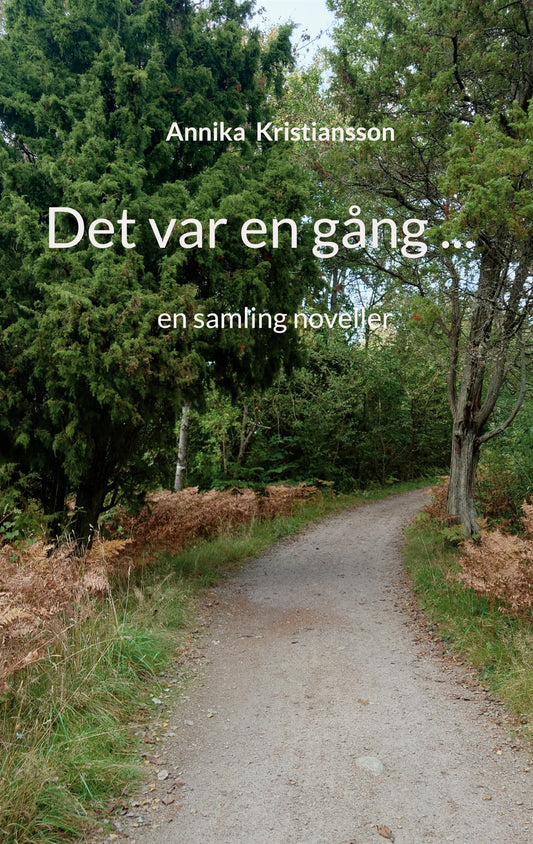 Det var en gång ...: en samling noveller – E-bok