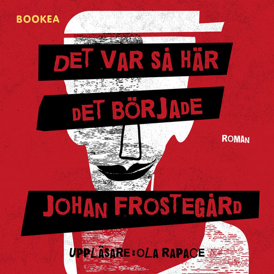 Det var så här det började – Ljudbok