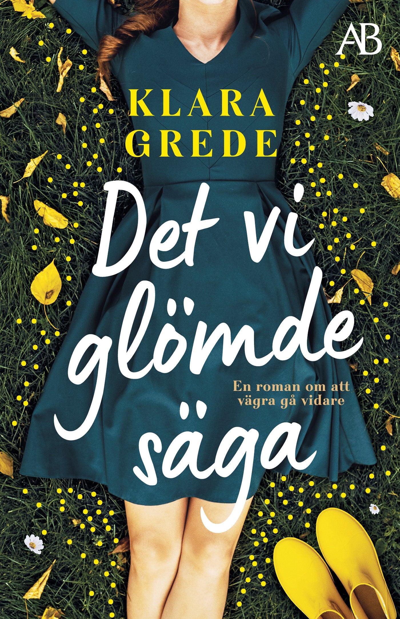Det vi glömde säga – E-bok