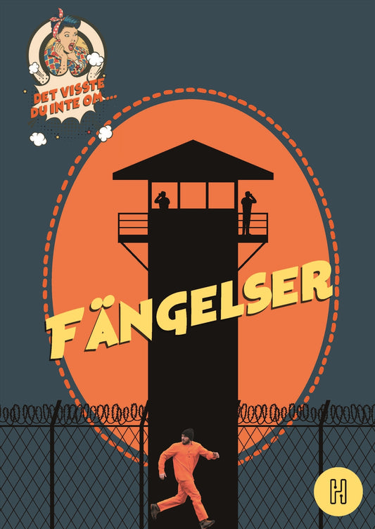 Det visste du inte om fängelser – E-bok