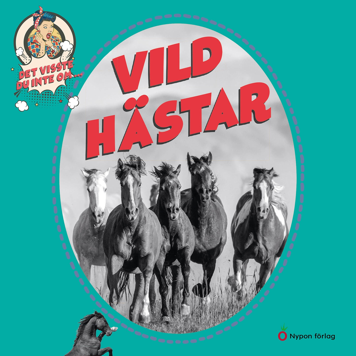 Det visste du inte om vildhästar – Ljudbok