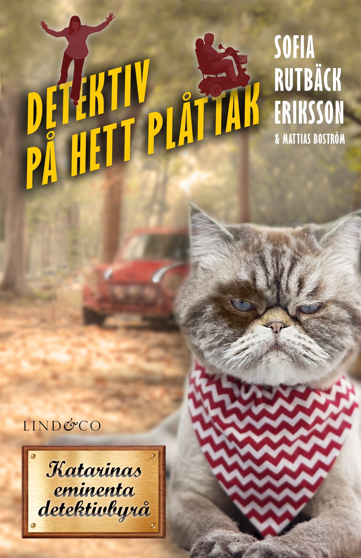 Detektiv på hett plåttak – E-bok