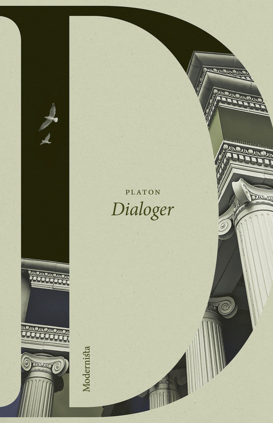 Dialoger – E-bok