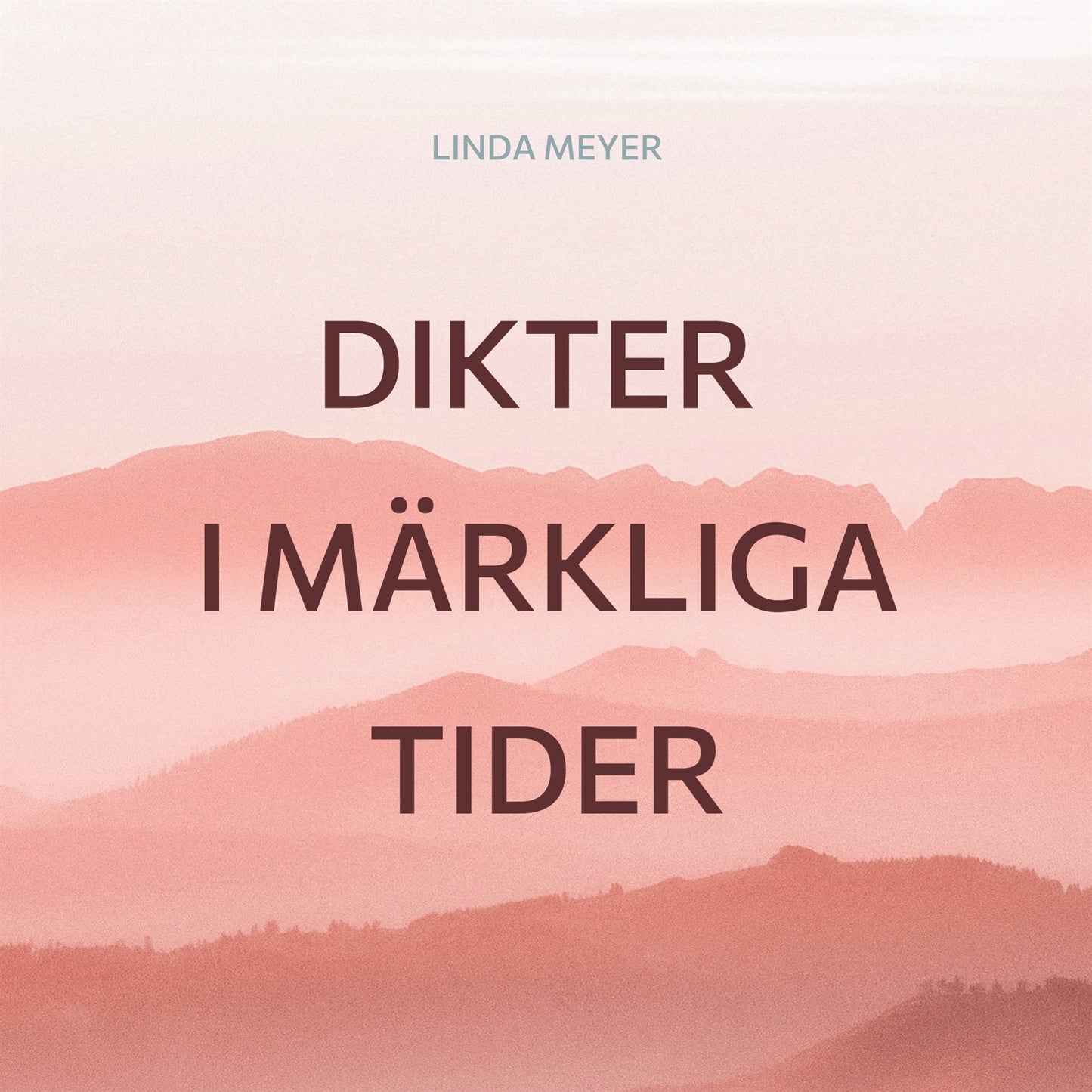 Dikter i märkliga tider – E-bok