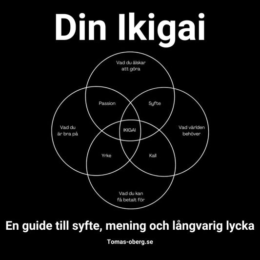 Din Ikigai – En guide till syfte, mening och långvarig lycka – Ljudbok