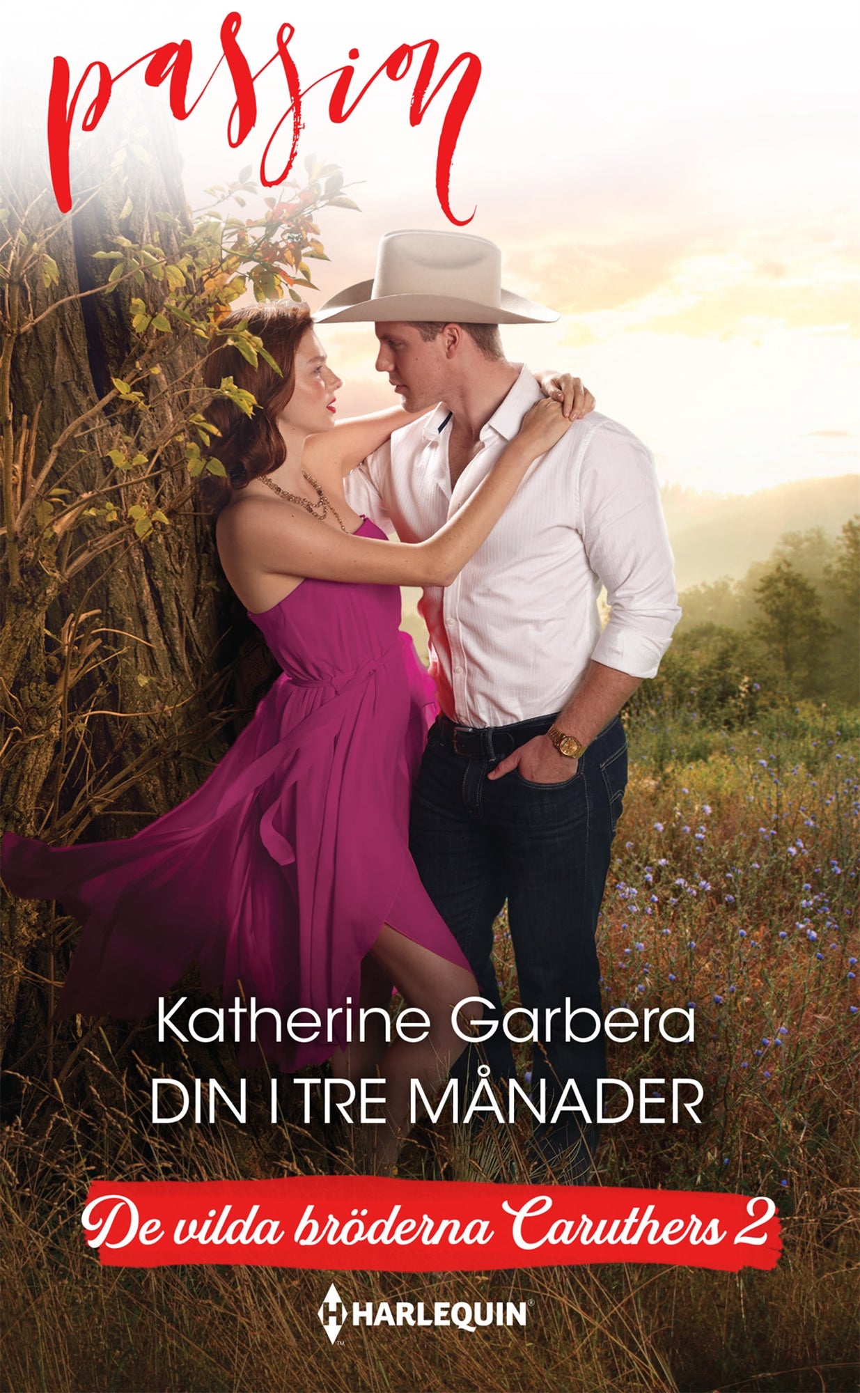 Din i tre månader – E-bok