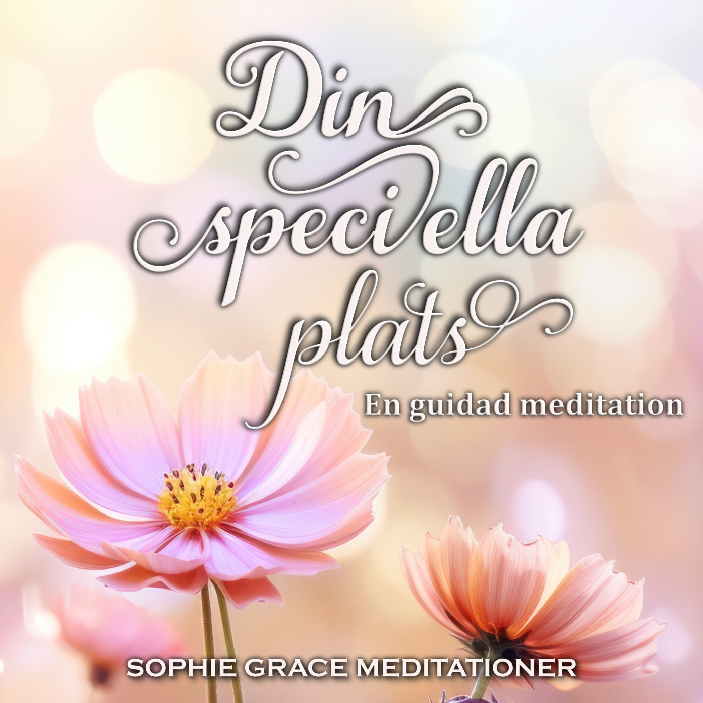 Din speciella plats. En guidad meditation – Ljudbok