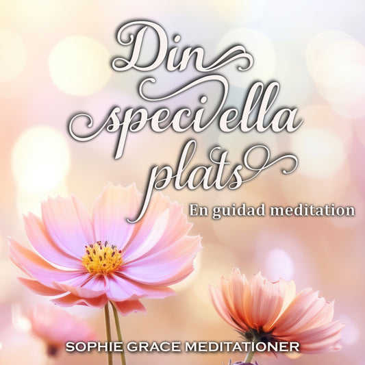 Din speciella plats. En guidad meditation – Ljudbok