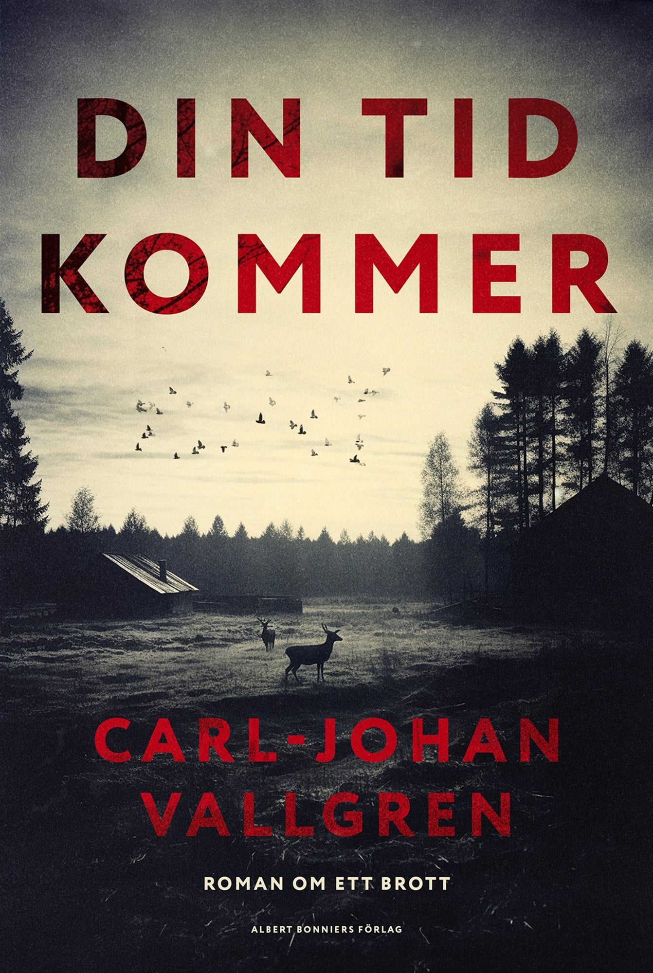 Din tid kommer – E-bok