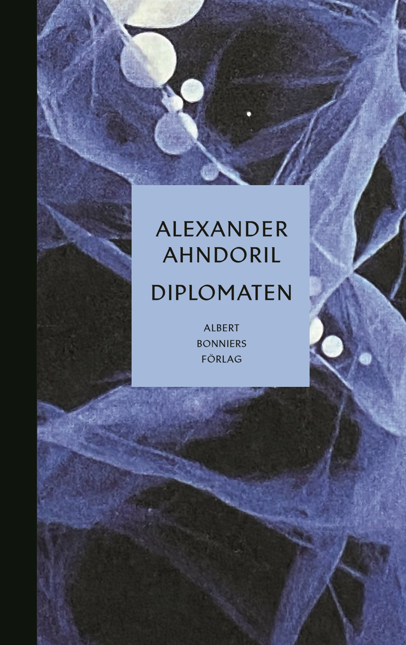 Diplomaten – E-bok