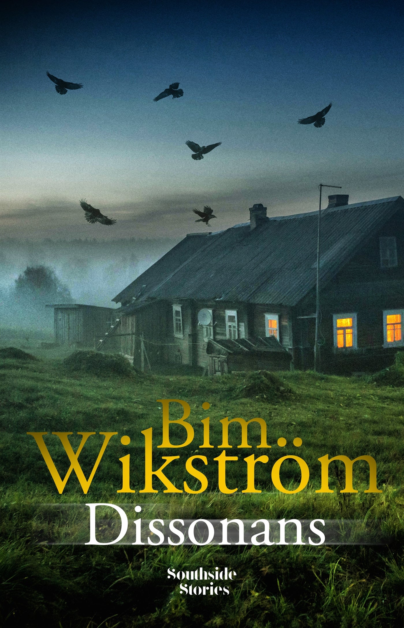 Dissonans – E-bok