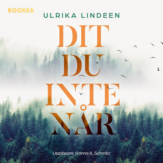 Dit du inte når – Ljudbok