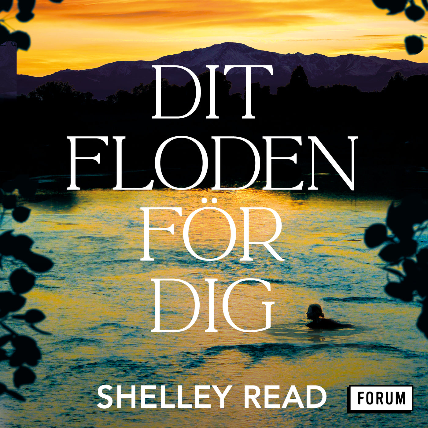 Dit floden för dig – Ljudbok