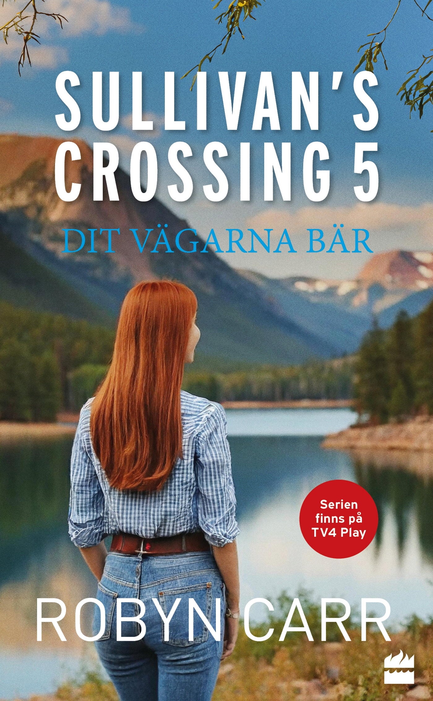 Dit vägarna bär – E-bok