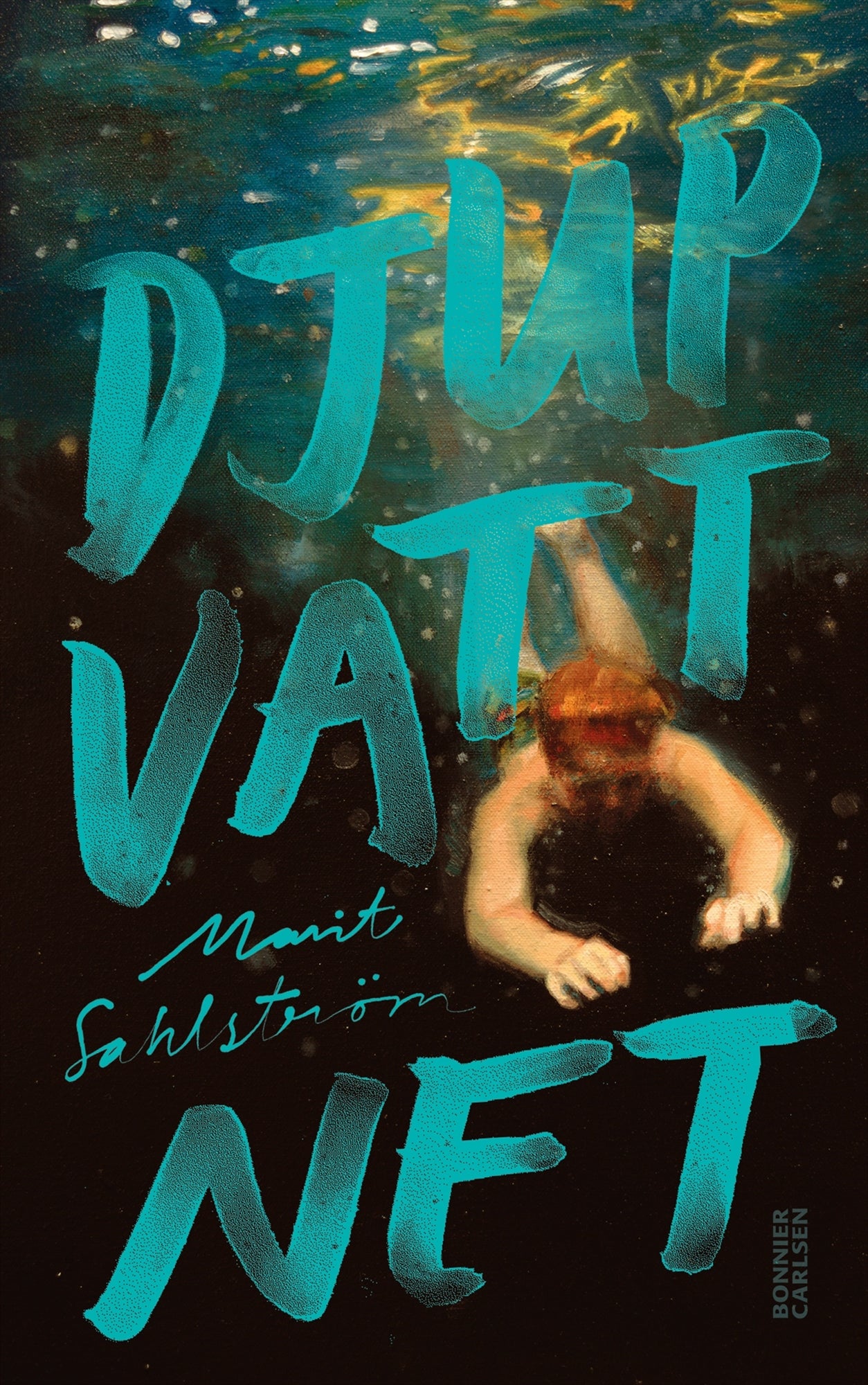 Djupvattnet – E-bok