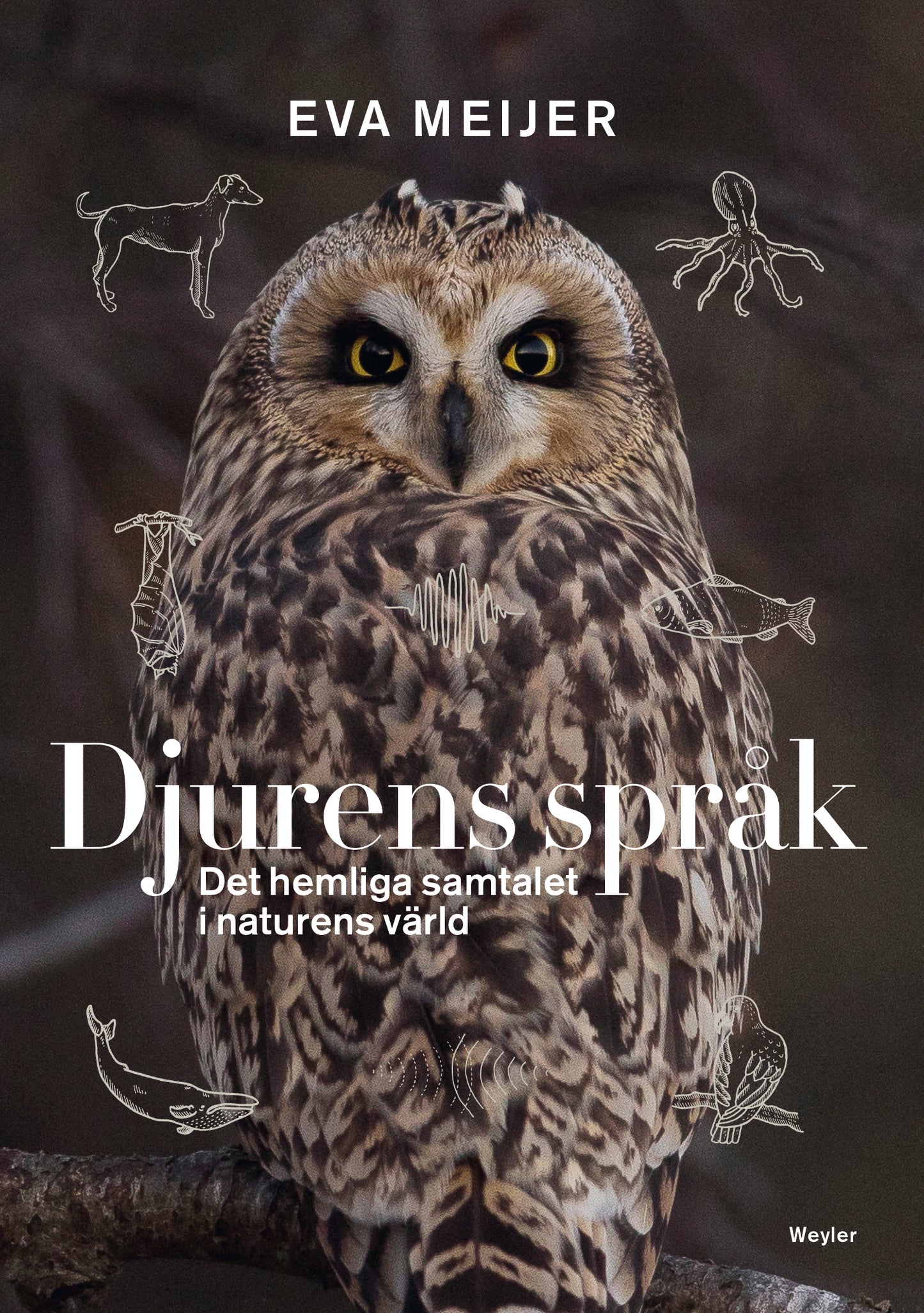 Djurens språk : det hemliga samtalet i naturens värld – E-bok