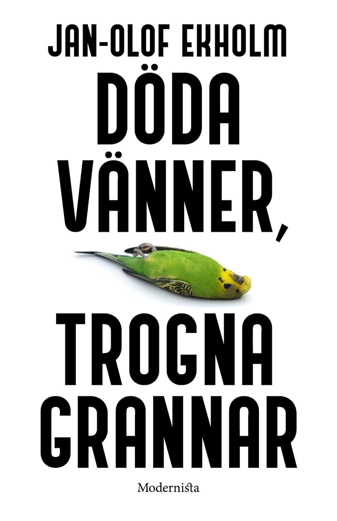Döda vänner, trogna grannar – E-bok