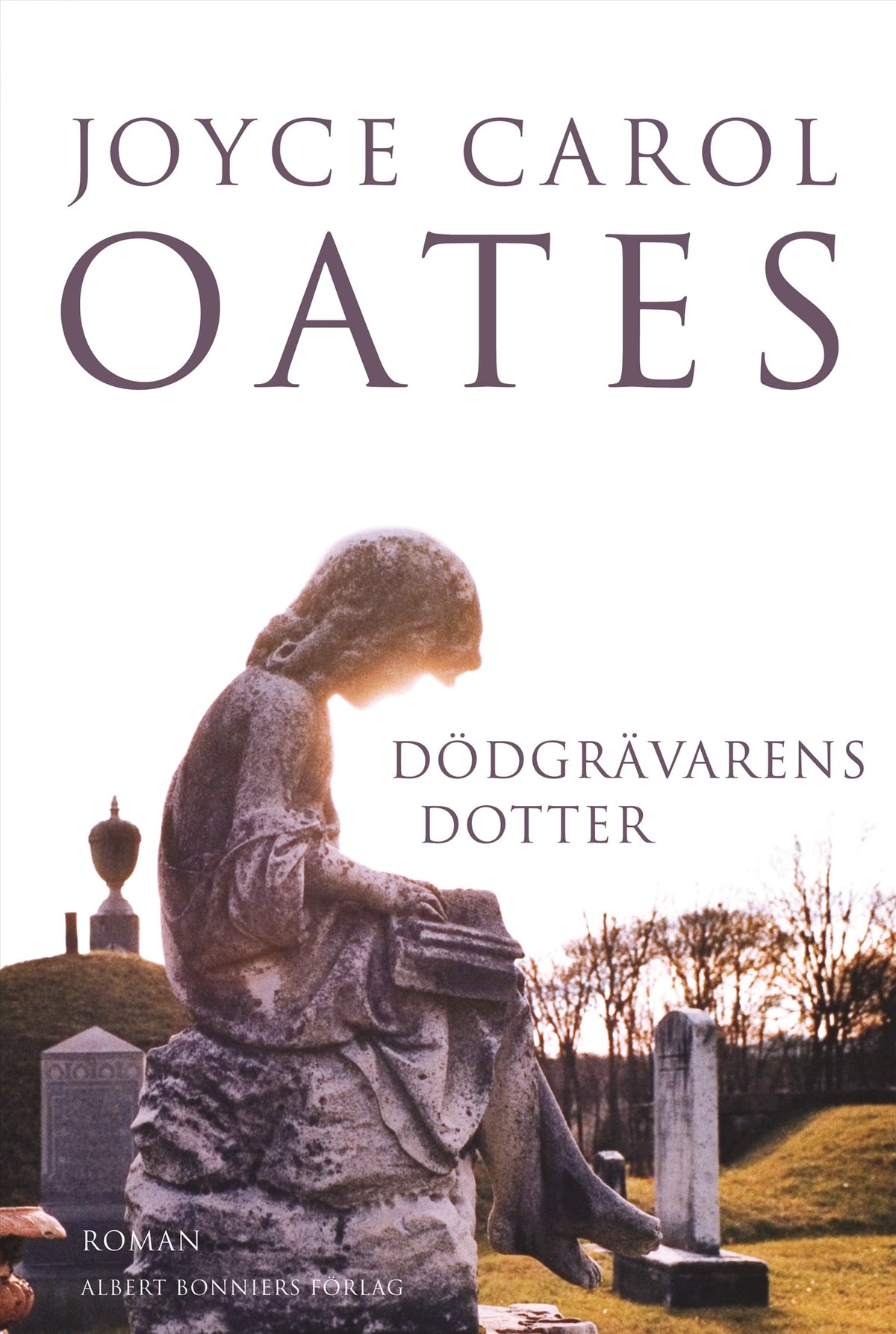 Dödgrävarens dotter – E-bok