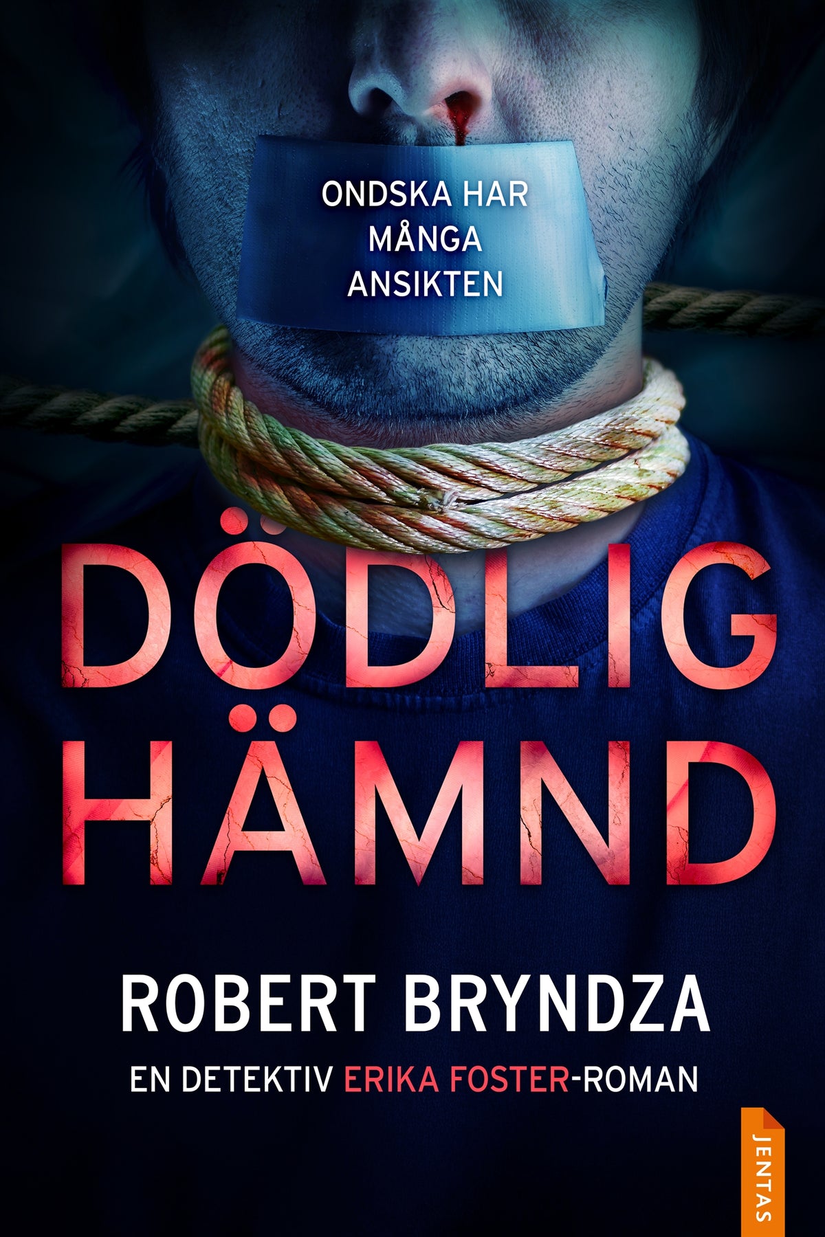 Dödlig hämnd – E-bok