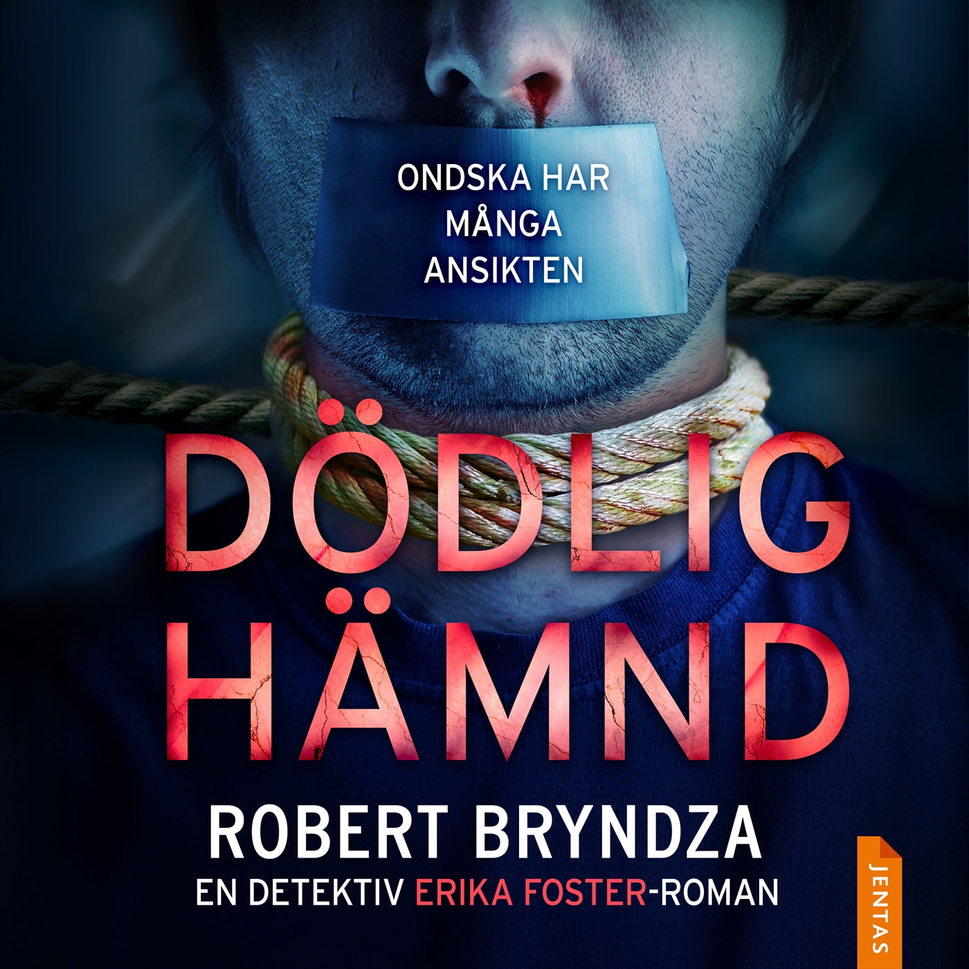 Dödlig hämnd – Ljudbok