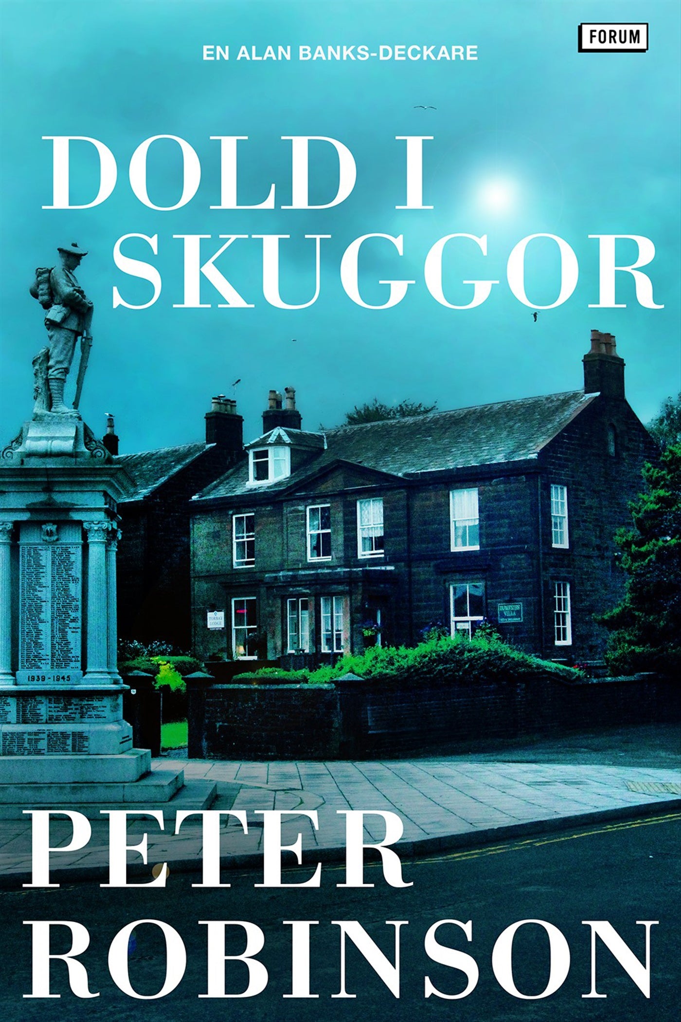 Dold i skuggor – E-bok