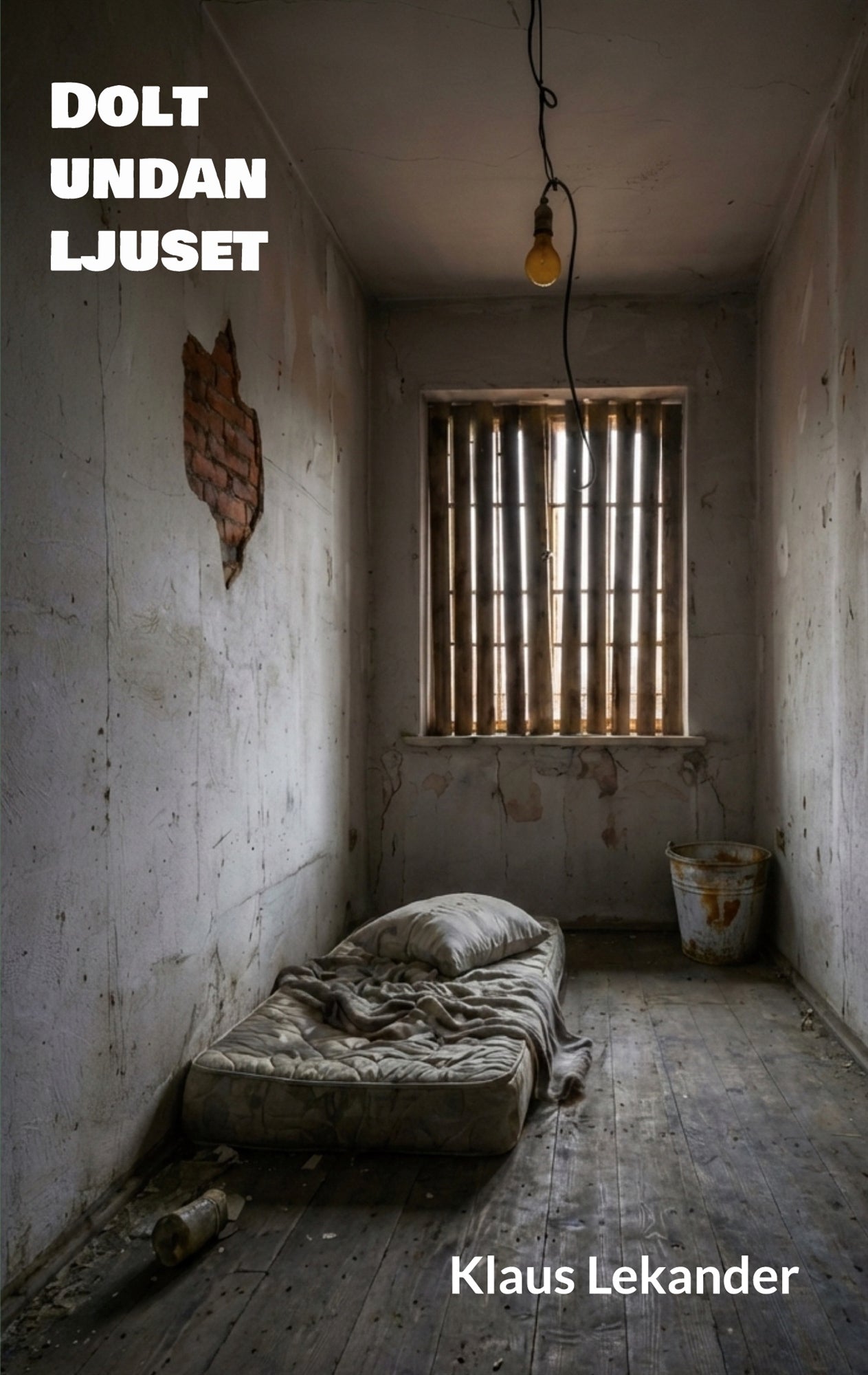 Dolt undan ljuset – E-bok