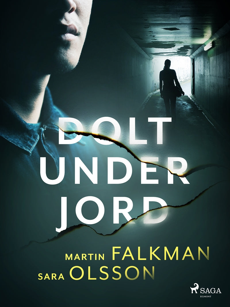Dolt under jord – E-bok