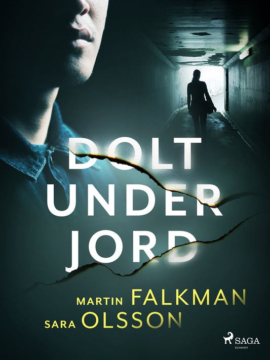 Dolt under jord – E-bok