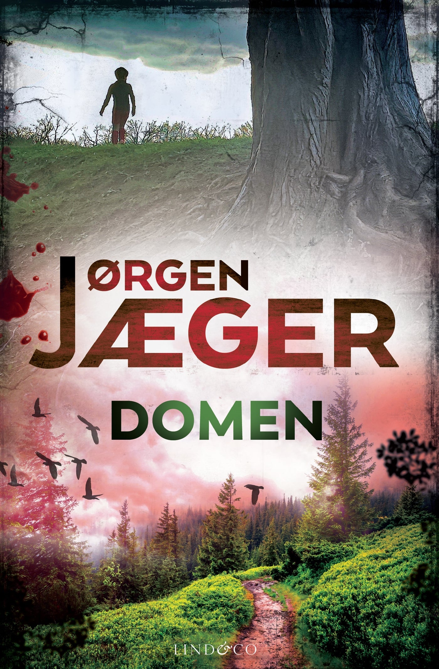 Domen – E-bok