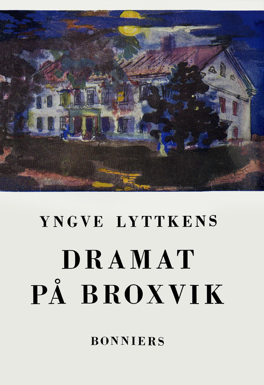 Dramat på Broxvik – E-bok