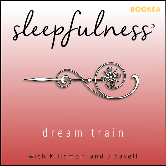 Dream train - guided relaxation – Ljudbok