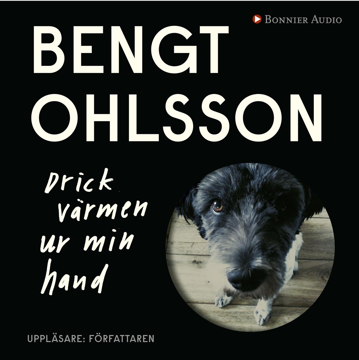 Drick värmen ur min hand – Ljudbok