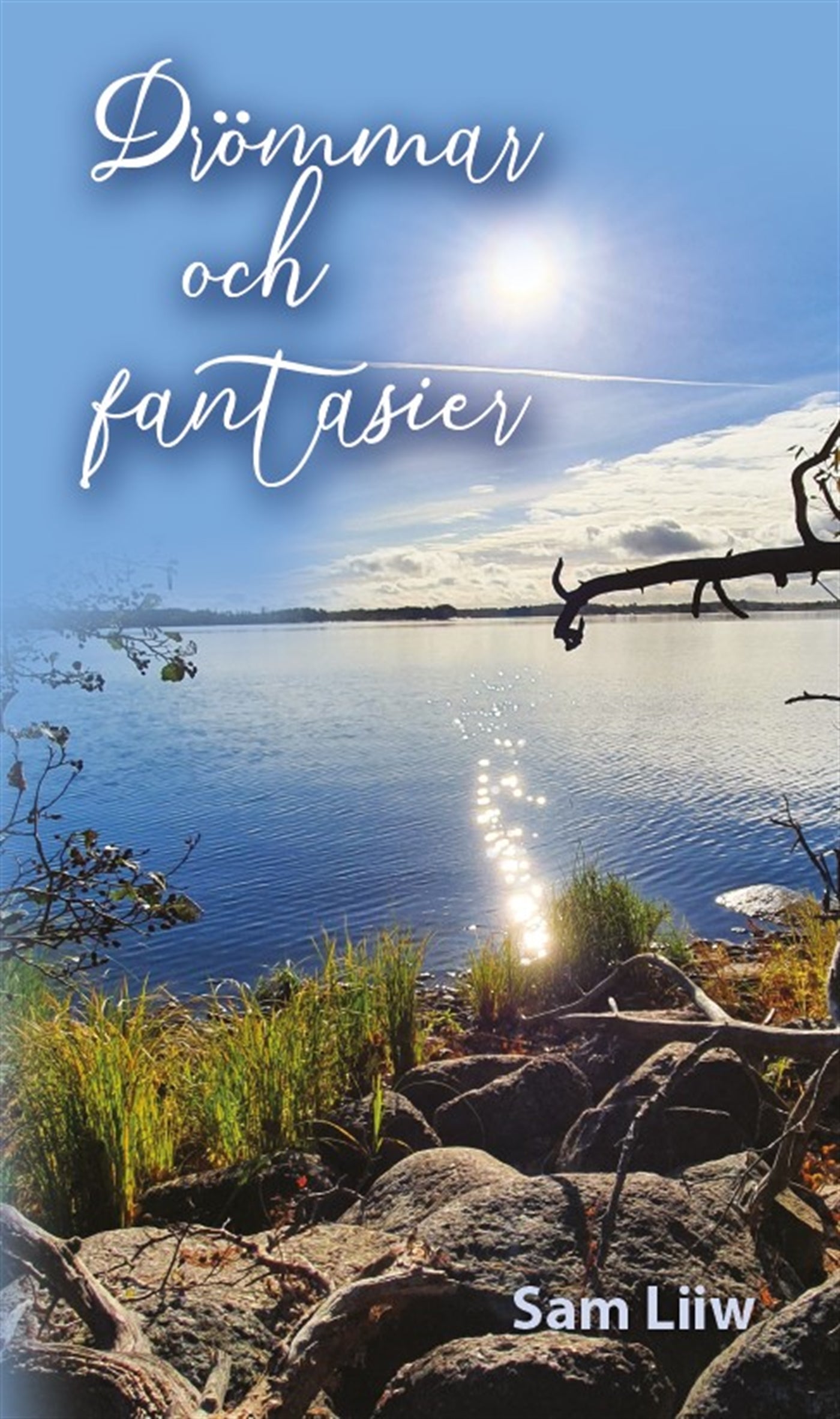 Drömmar och fantasier – E-bok