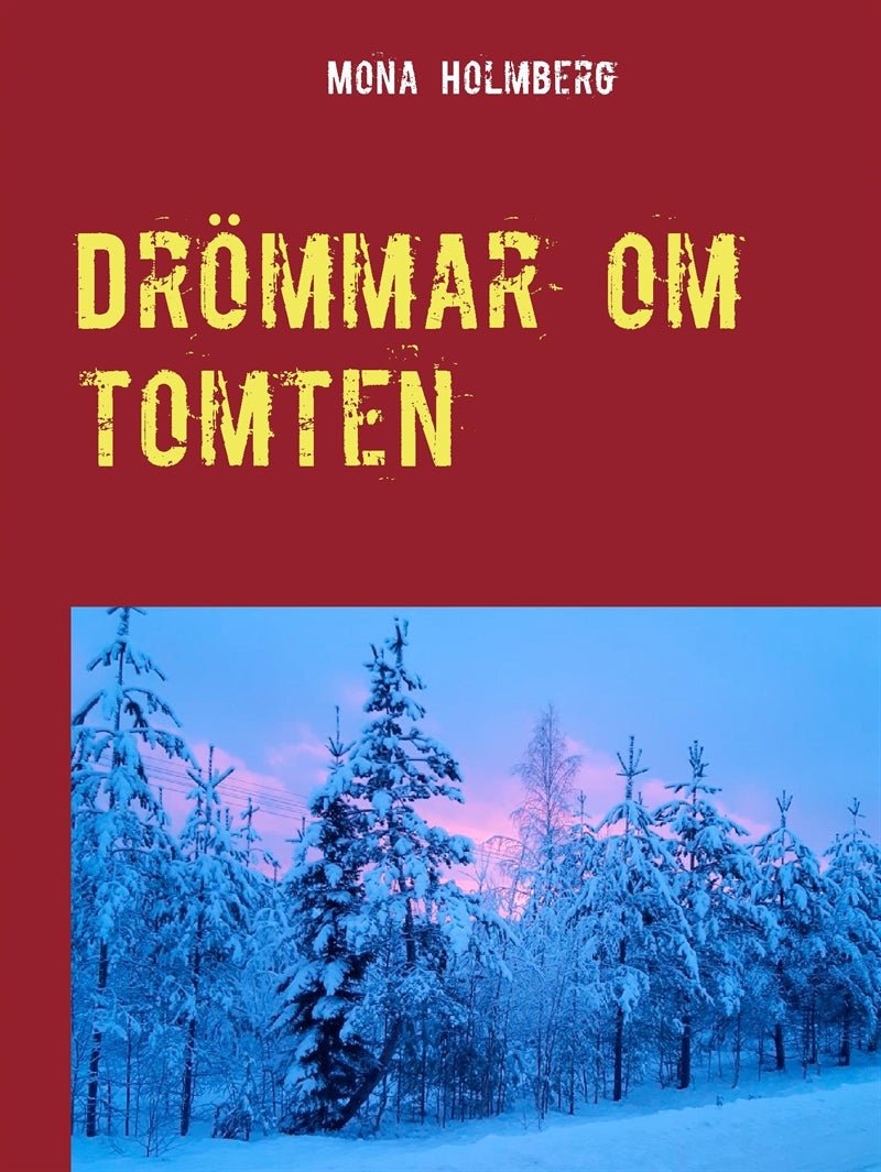 Drömmar om tomten – E-bok