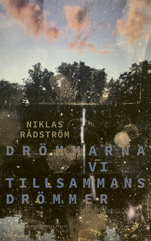 Drömmarna vi tillsammans drömmer – E-bok