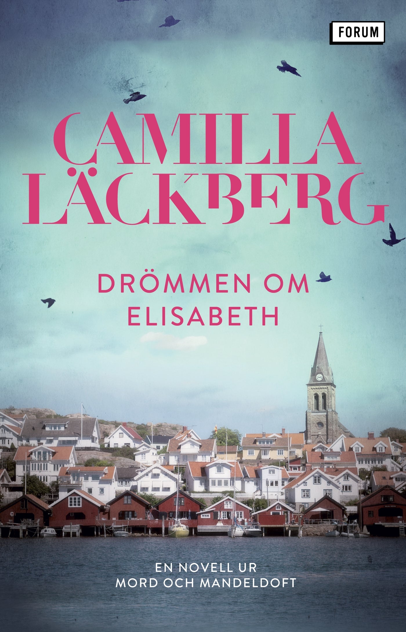 Drömmen om Elisabeth : en novell ur Mord och mandeldoft – E-bok