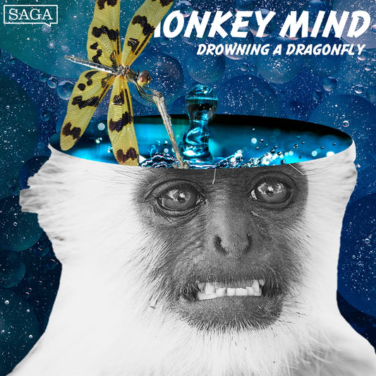 Drowning a Dragonfly – Ljudbok