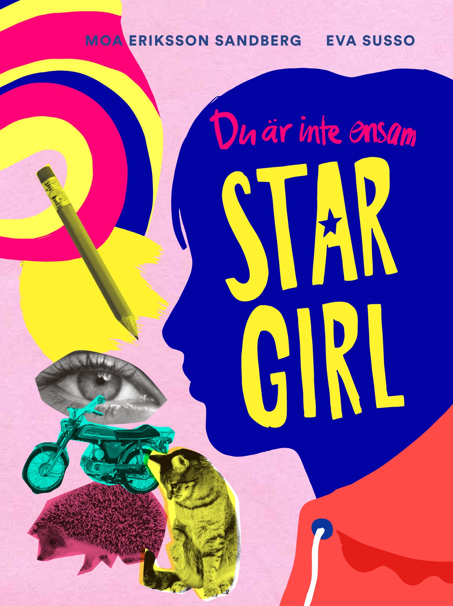 Du är inte ensam, Stargirl – E-bok