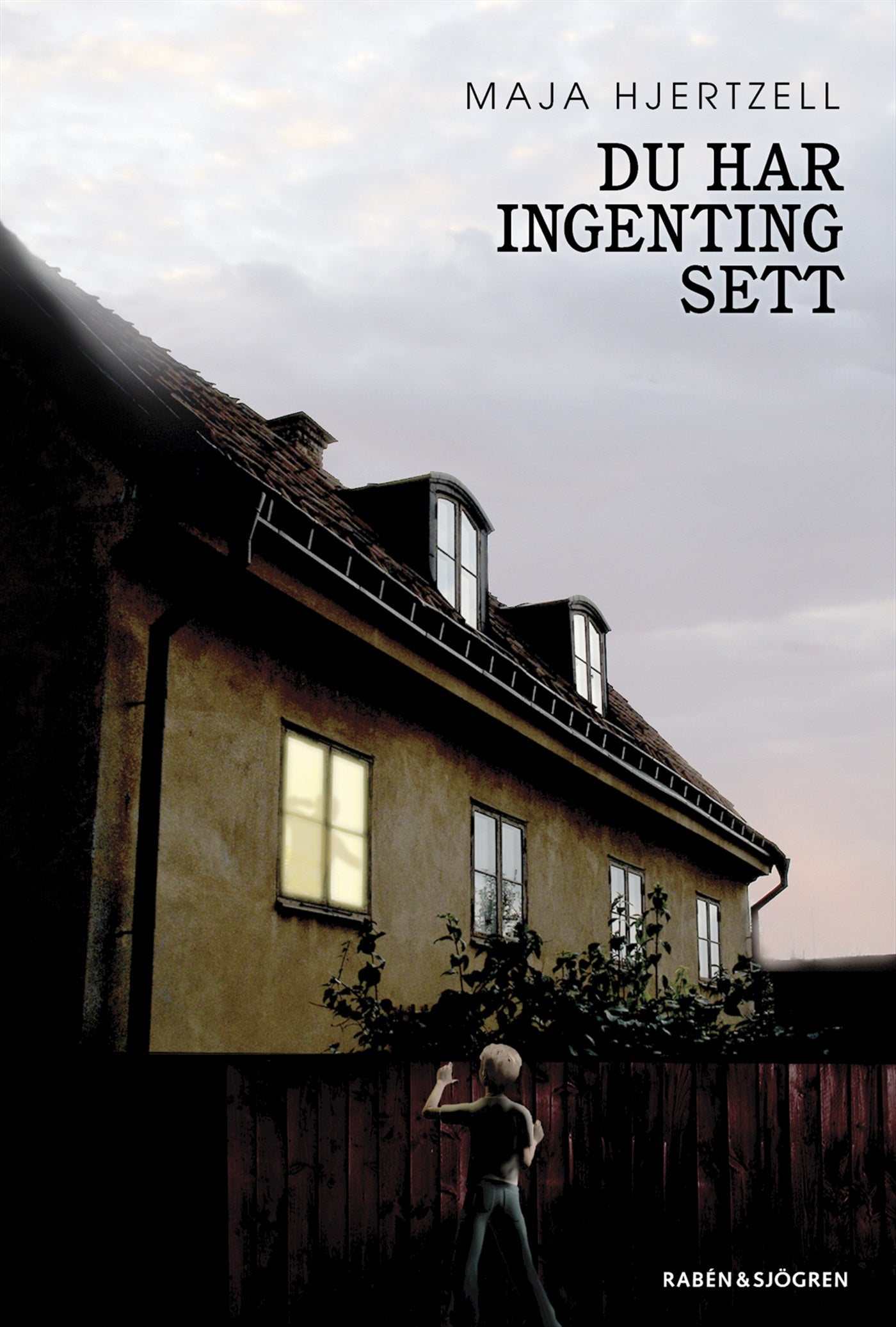 Du har ingenting sett – E-bok