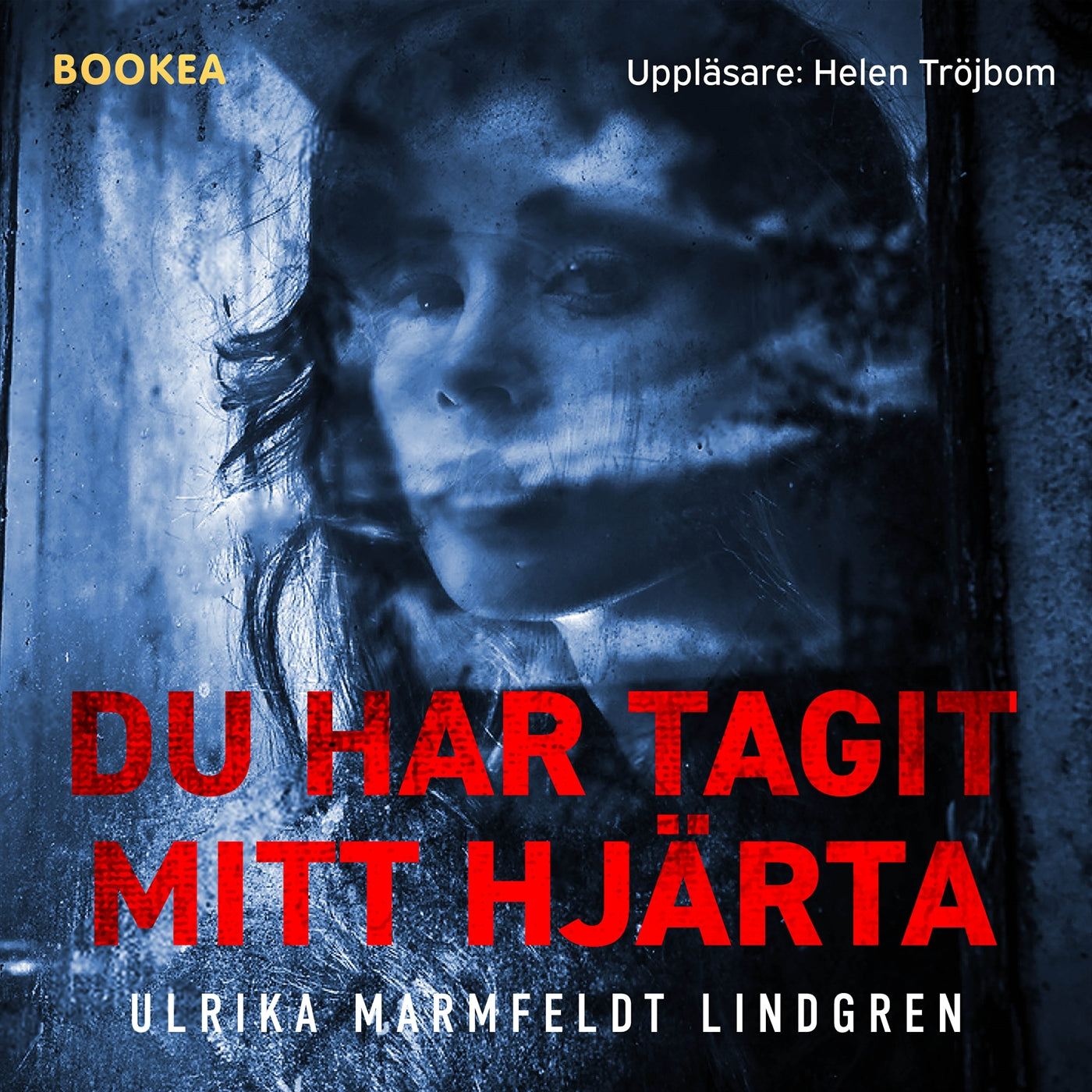 Du har tagit mitt hjärta – Ljudbok