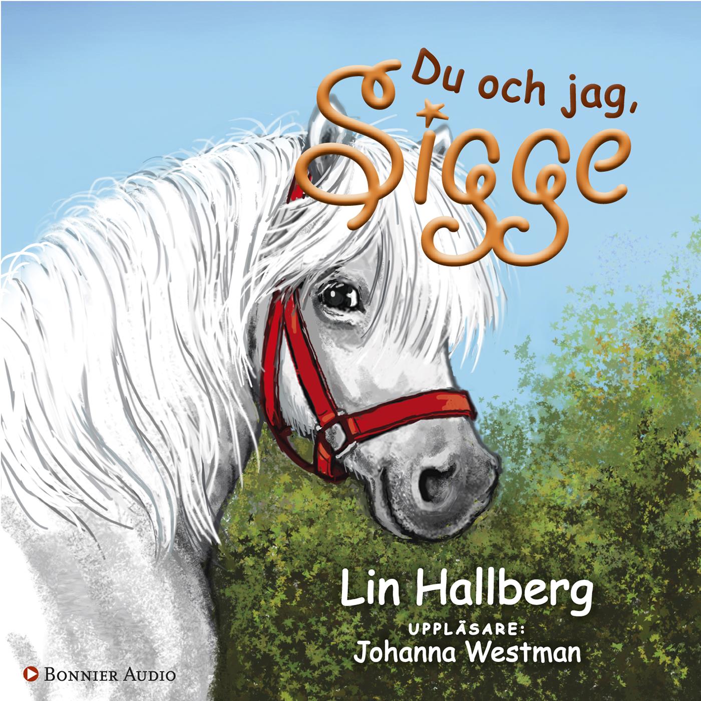 Du och jag, Sigge – Ljudbok