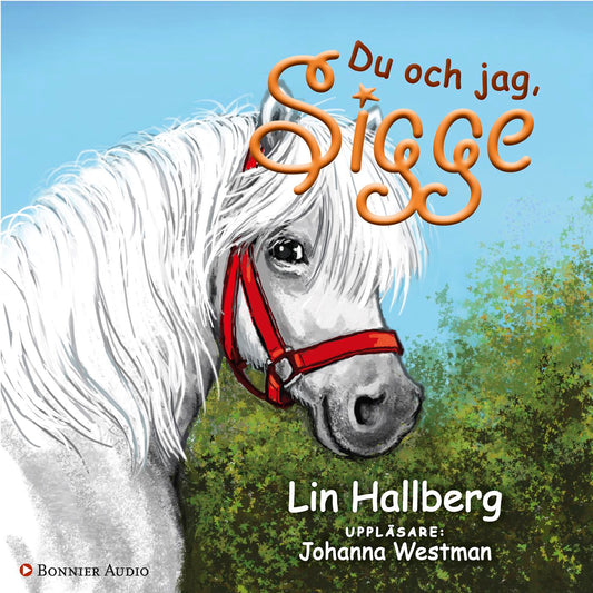 Du och jag, Sigge – Ljudbok